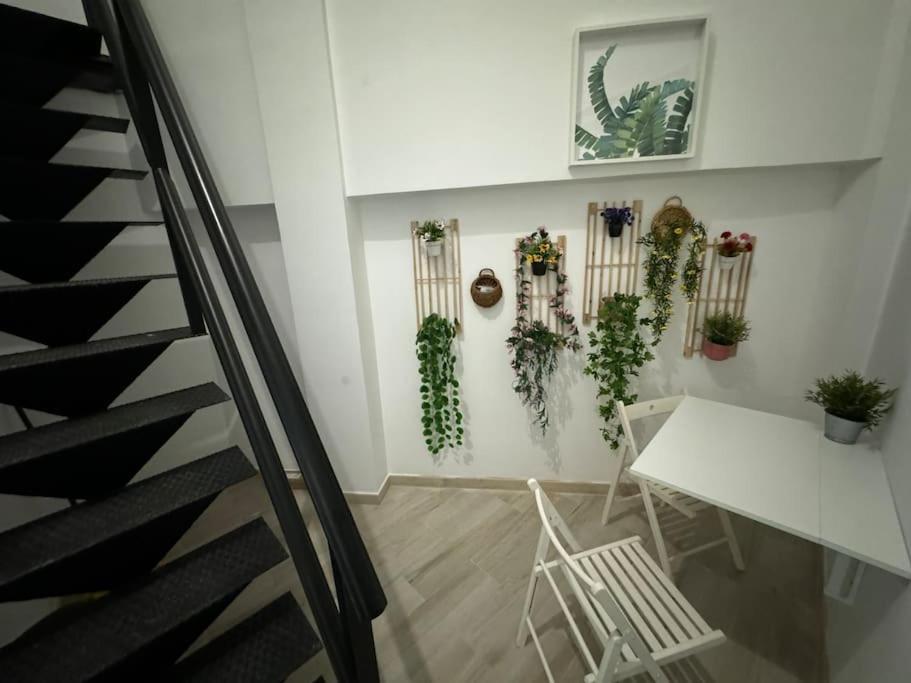 Stylish-central Family Duplex *